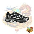 Salomon XT-6 Silver