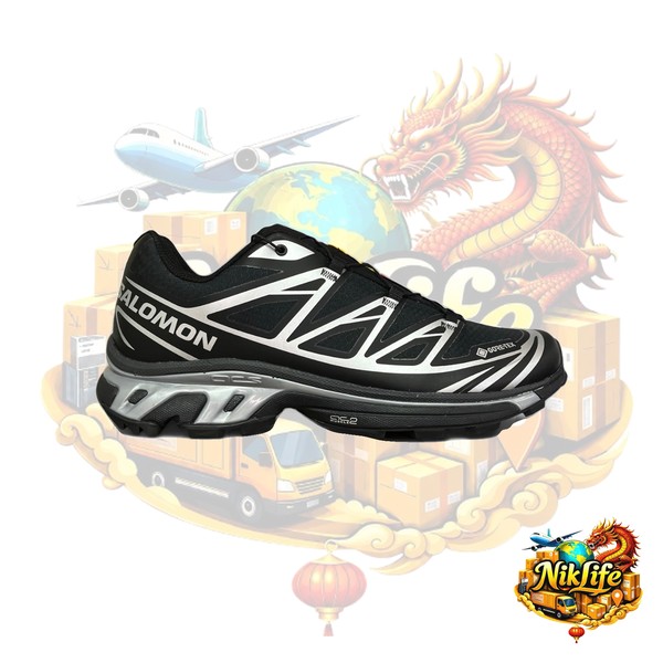 Salomon XT-6 Silver